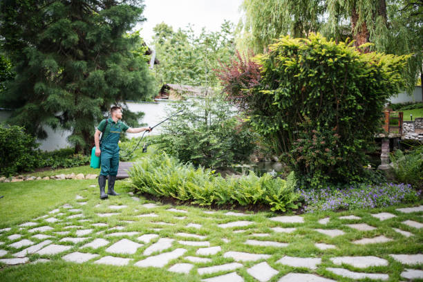 Best Local Pest Control Services  in West Wood, UT