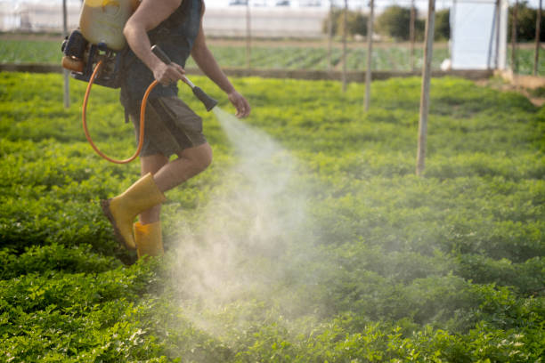 Best Residential Pest Control  in West Wood, UT