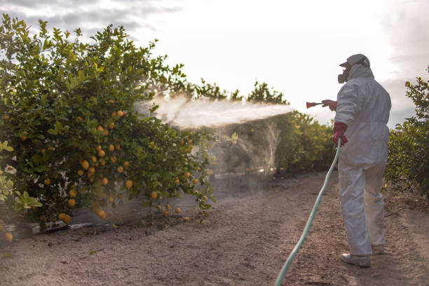 Best Cockroach Control Services  in West Wood, UT