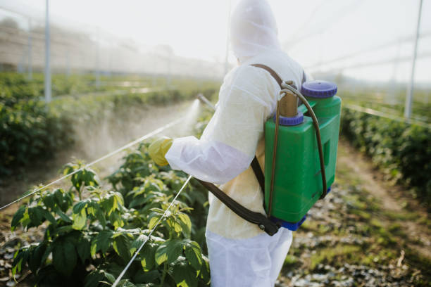 Best Pest Control Near Me  in West Wood, UT
